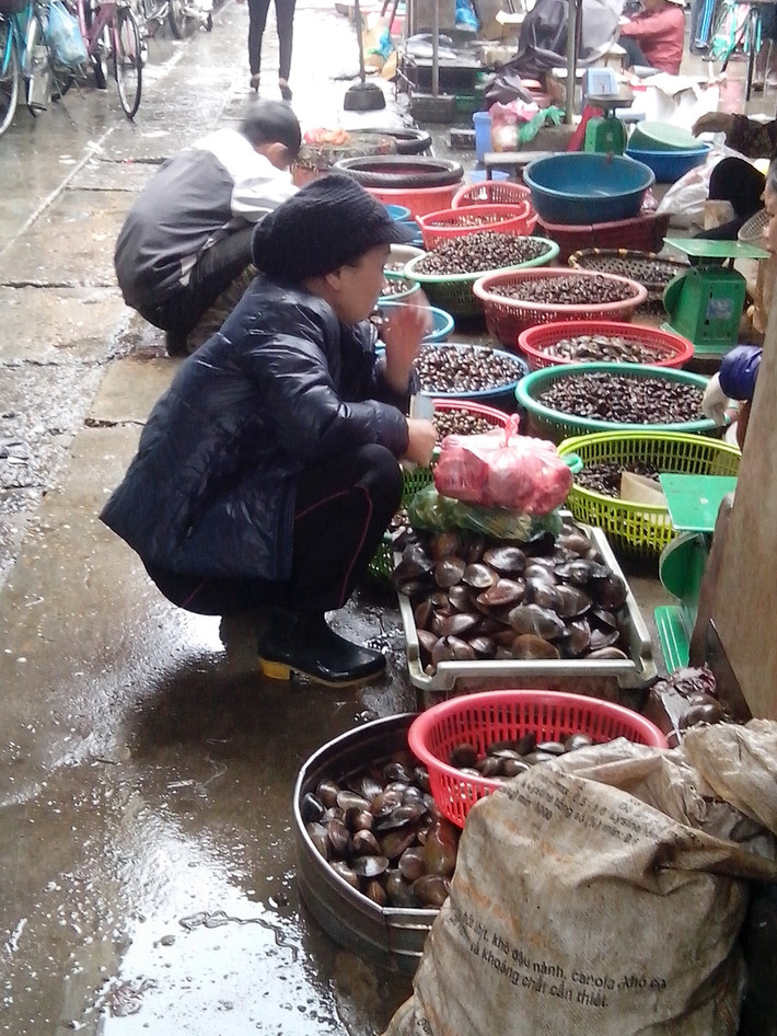Thời gian gần đây, dư luận hết sức hoang mang về thông tin 100% thuỷ sản ở Hà Nội bị nhiễm kim loại độc hại ảnh hưởng đến sức khoẻ người tiêu dùng. Tuy nhiên, theo khảo sát của Kiến Thức các chợ lớn ở Hà Nội, hoạt động mua bán những loại thuỷ sản này vẫn rất tấp nập.