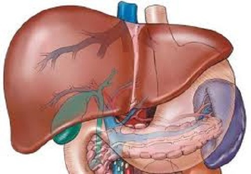 Gây hại cho gan: Trong một môi trường ô nhiễm nghiêm trọng, những hộp mì ăn liền bằng nhựa khi được ngâm trong nước nóng ở nhiệt độ trên 65 độ C, chất độc hại của nó sẽ ngấm vào thực phẩm, từ đó gây hại cho gan, thận, hệ sinh sản, dây thần kinh trung ương.
