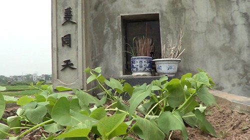 Nhiều người tiêu dùng khi biết sự việc rau được tận dụng trồng ở các nghãi địa đã khá bất ngờ. Vì theo họ, xét cả về mặt an toàn và tâm linh thì những loại rau này "rất đáng sợ", và có thể nguy hiểm cho sức khỏe khi được nuôi dưỡng bằng nguồn nước ô nhiễm ở đây.