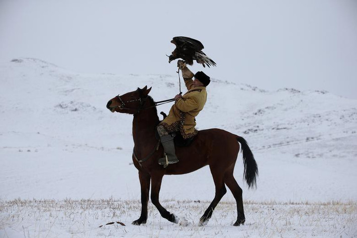 Cuộc thi săn đại bàng hàng năm quy tụ những người nuôi đại bàng giỏi nhất của Kazakhstan tới thể hiện kỹ năng xử lý, phô bày khả năng săn mồi của đại bàng.