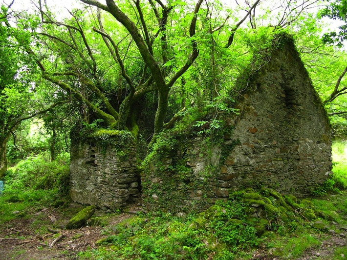 Đường mòn Kerry giữa Sneem và Kenmare ở Ireland gợi lên cảm giác đầy ma quái.