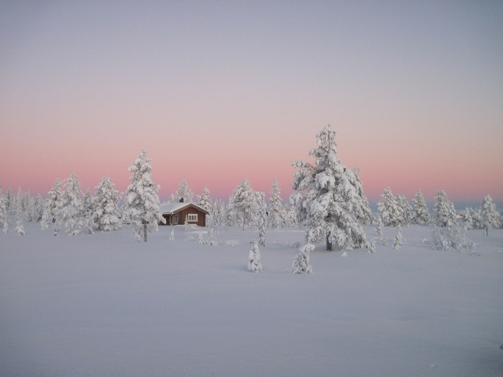 Rừng Boreal, Na Uy phủ tuyết trắng mênh mông.