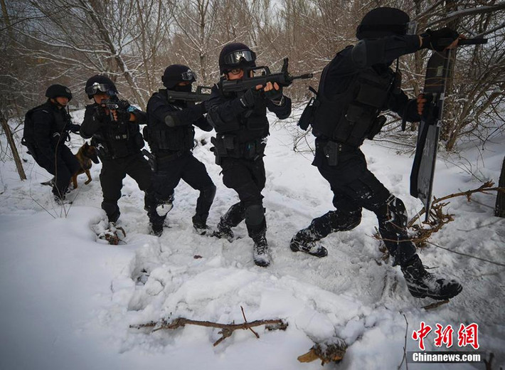 Chó săn của đội SWAT cũng tham gia diễn tập.