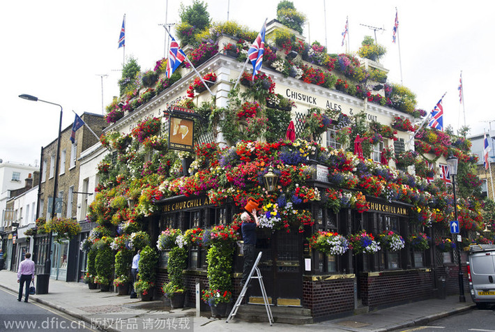 Arms Churchill , London. Nhà hàng nổi bật với những lẵng hoa, cây cảnh bao quanh bên ngoài. Nó thực sự ấn tượng khi bước vào cánh cửa đầy hoa và thưởng thức rượu vào mùa hè. Để có được công trình này, người ta dành thời gian chăm chút suốt 30 năm qua. Mỗi năm, Arms Churchill dành riêng 2 tuần để trồng cây.