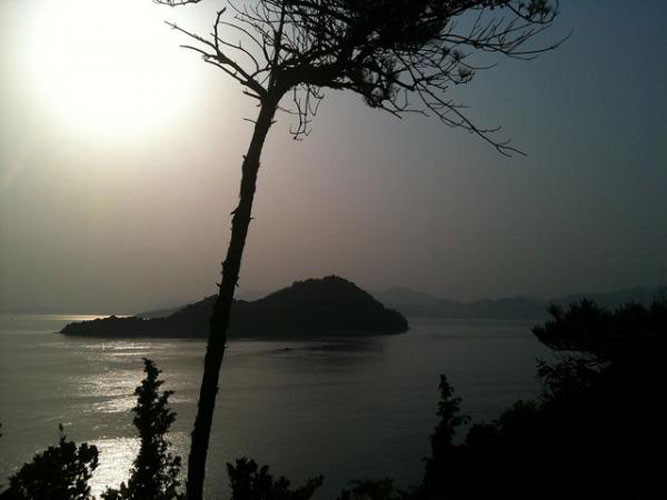 Nhìn bề ngoài, hòn đảo Okunoshima trông rất đỗi thơ mộng với cây cối um tùm, xanh tốt, những bãi cát trắng hoang sơ bao quanh bờ biển... song nơi đây lại có một quá khứ kinh hoàng...