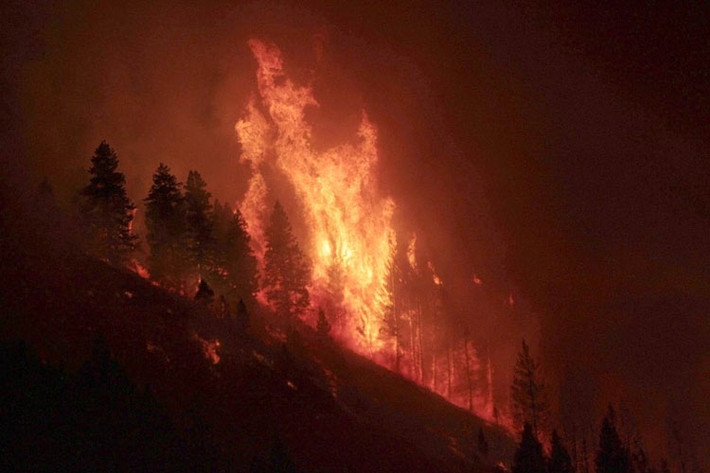 Cháy rừng gần Pine, Idaho ngày 14/8.