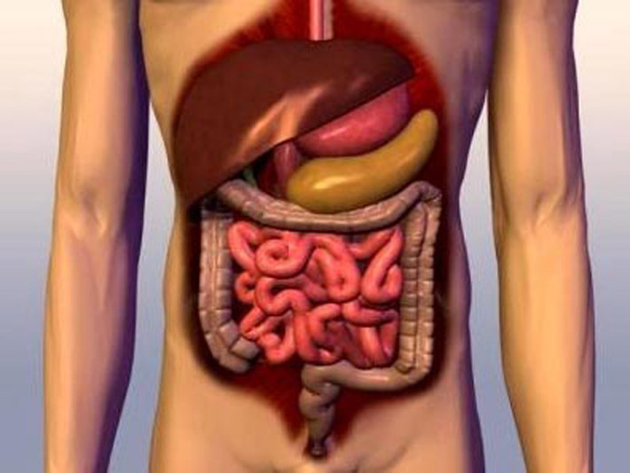 Cải thiện tiêu hóa. Ngoài vị ngọt mát hấp dẫn, na còn được nhiều người tiêu dùng lựa chọn vì giàu đồng và chất xơ. Hai chất này đóng vai trò quan trọng trong việc đảm bảo đường tiêu hóa được vận hành, giúp nhu động ruột tốt, dễ đào thải chất bã khỏi cơ thể.