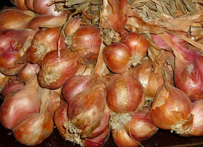 Hành tỏi Kinh Môn. Như một món quà trời phú, hành tỏi trồng ở Kinh Môn thường có củ to, mẩy và mùi thơm “ăn đứt” các giống hành khác được trồng ở miền Bắc. Ngay cả được trồng cùng loại giống và chế độ chăm sóc như nhau nhưng nếu được trồng ngoài Kinh Môn, hành tỏi khó có thể có mùi thơm như vậy.