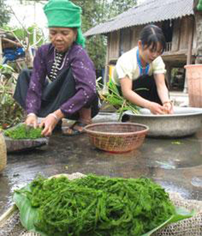 Để có thể ăn những cây rêu bám đầy bùn đất, người ta phải chế biến khá kỳ công. Cụ thể, rêu được đặt lên những tảng đá nhẵn, rộng; dùng thanh tre, gỗ đập và loại bỏ lớp sạn sỏi. Rửa cho đến khi nước trong rồi ủ với muối nhạt từ 10 – 15 phút.