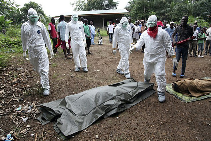 Hơn nửa lượng người nhiễm vi rút Ebola tại Liberia đã tử vong. Đáng lưu ý, một trong những nguyên nhân chính của tình trạng này là công tác phòng bệnh yếu kém ở những khu ổ chuột ẩm ướt, lụp xụp vốn được xem là “thiên đường” cho vi rút gây bệnh sinh sôi.
