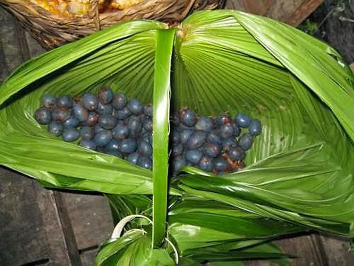 Đồ xôi cọ khá cầu kỳ và tốn nhiều thời gian. Tuy nhiên, sự tỉ mẩn ấy hoàn toàn xứng đáng khi cảm nhận sự ngậy thơm, ngang ngang hấp dẫn như vị của tinh dầu cà cuống.