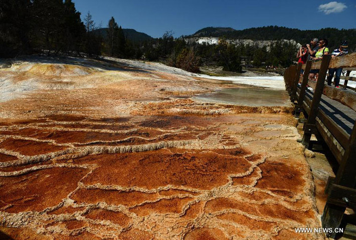 Phong cảnh tuyệt đẹp của mạch nước phun Norris Geyser Basin chụp ngày 18/8.