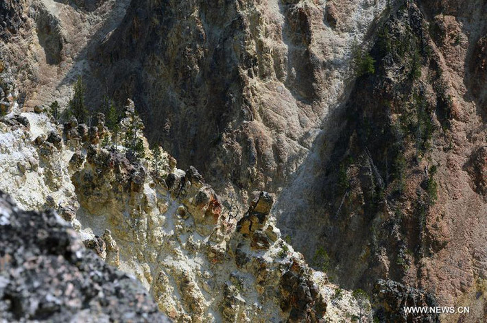Ảnh chụp ngày 17/8 mô tả vẻ đẹp hùng vĩ của hẻm Grand Canyon trong Công viên quốc gia Yellowstone, Mỹ.