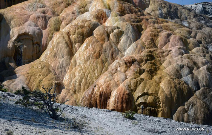 Ảnh chụp ngày 18/8 mô tả vẻ đẹp của suối nước nóng Mammoth trong Công viên quốc gia Yellowstone, Mỹ.
