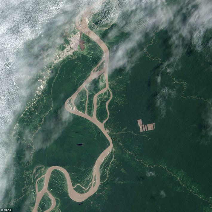 Ảnh chụp vùng Amazon của Peru bởi vệ tinh Landsat 8 của NASA ngày 28/8.