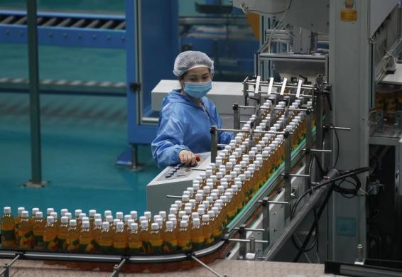 Một công nhân Triều Tiên vận hành dây chuyền sản xuất tại một nhà máy chế biến nước ép trái cây ở ngoại ô Bình Nhưỡng.
