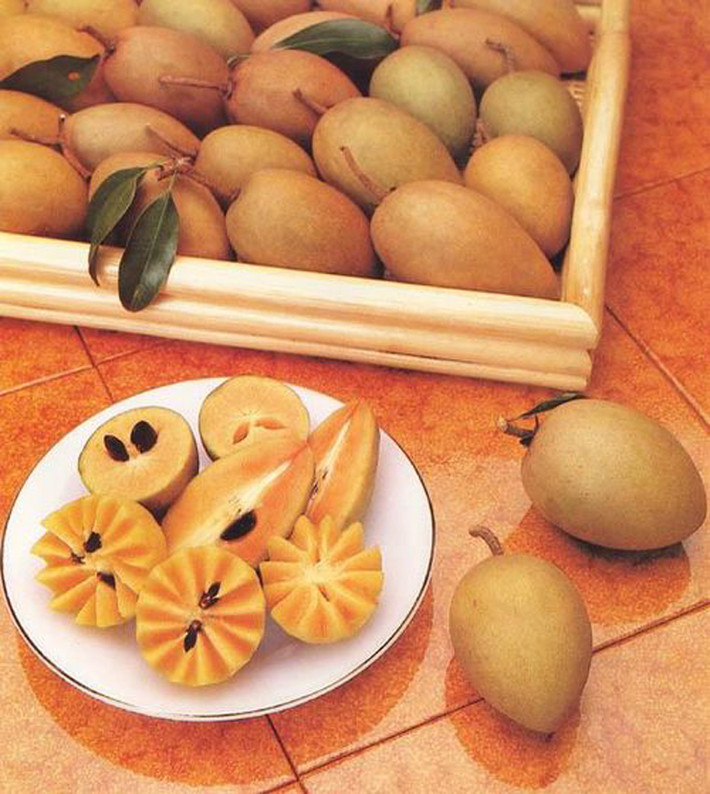 Về tác dụng bất ngờ của trái hồng xiêm, Raghavan cho biết:"Chúng tôi tiến hành thử nghiệm tác dụng của các chất chiết xuất từ hồng xiêm trên tế bào ung thư khác nhau như ung thư máu, ung thư vú, ung thư buồng trứng và ung thư phổi. Kết quả là, chúng tôi nhận thấy cơ chế gây chết tế bào theo chương trình có tác dụng tích cực trong hầu hết những loại bệnh trên. Cụ thể trên chuột, chúng làm chậm sự phát triển của khối u. Con chuột khi sử dụng chất này có khả năng sống lâu hơn ba lần so với việc không đả động chạy chữa”.