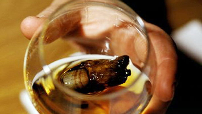 Cocktail ngón chân người. Khách sạn Downtown, Canada nổi tiếng với loại cocktail Sourtoe rùng rợn ngâm ngón chân người thật. Nguyên liệu của loại cocktail Sourtoe tính đến thời điểm này có 3 nguồn gốc chính: ngón chân của những người không may qua đời trong các vụ tai nạn; của người muốn lưu giữ một phần cơ thể mình được ở lại nhân gian trong chai rượu và của những thành viên tích cực ở câu lạc bộ Sourtoe.