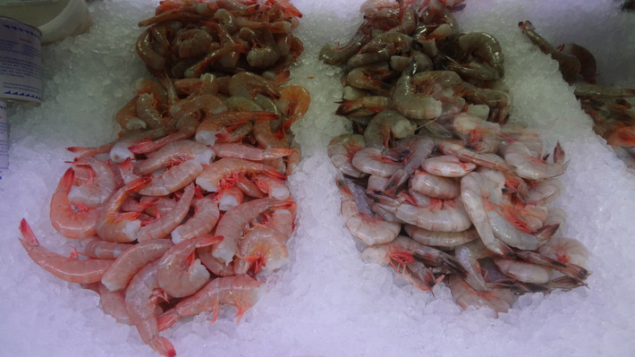Nếu không thể mua được tôm tươi vừa đánh bắt, buộc phải chọn tôm ướp đá thì cần tránh tôm có mùi lạ, thân bắt đầu mềm nhũn, đầu tôm dễ tách khỏi mình, màu chuyển màu sẫm, có nhiều nhớt.