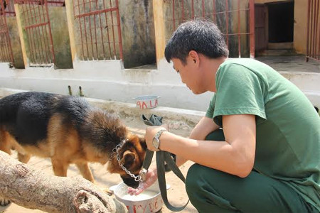 Các huấn luyện viên chăm sóc rất chu đáo chú khuyển của mình để tạo tình cảm đặc biệt gắn bó.