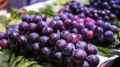 Ăn nho vào mùa hè là tốt hay có hại cho gan?