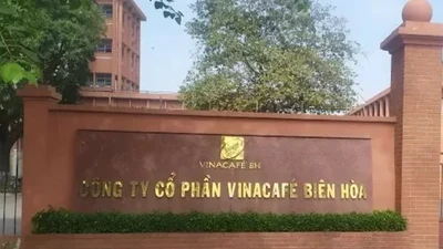  Xử phạt và buộc di dời nhà máy Bibica và Vinacafé Biên Hoà