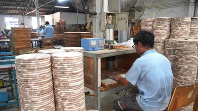 Cty Chế biến hàng xuất khẩu Đồng Nai bị phạt 310 triệu đồng về môi trường