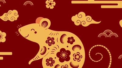Xem tử vi hàng ngày, tử vi 12 con giáp hôm nay 