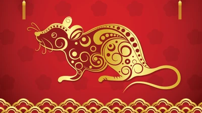 Tử vi tuần mới (19 - 25/5), 3 con giáp hạnh phúc, vượng phát