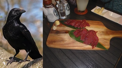 Kinh dị món sashimi thịt quạ gây tranh cãi ở Nhật Bản 