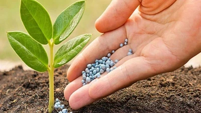 PCE nâng kế hoạch lãi sau thuế năm nay lên 36 tỷ đồng