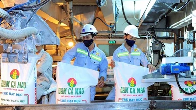DCM đặt mục tiêu tổng doanh thu 9.060 tỷ đồng