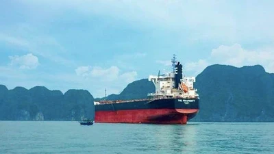Hòa Phát mua thêm tàu The Prosperity tải trọng hơn 80.000 tấn
