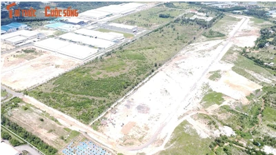VMEP và những dự án chưa triển khai