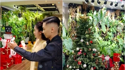 Sân vườn đầy màu xanh của nhà Khánh Thi - Phan Hiển