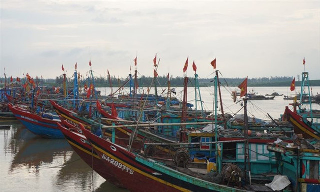 Nghệ An yêu cầu các địa phương triển khai công tác ứng phó bão số 11, cấm tàu thuyền và phương tiện vận tải ra khơi từ 10h ngày 5/10. 16.jpg