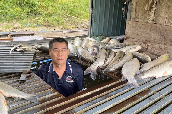 Truy tìm nguyên nhân vụ cá chết hàng loạt trên sông Lam