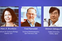 Hành trình đến giải Nobel Y sinh 2025, mở cánh cửa mới về miễn dịch học