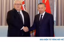 Tổng Bí thư, Chủ tịch nước Tô Lâm hội kiến Chủ tịch Quốc hội New Zealand