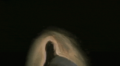  Scott Free: Đạo diễn nổi tiếng Ridley Scott cũng sở hữu một studio riêng của ông có tên là Scott Free. Logo của hãng là hình ảnh một người đàn ông hóa thân thành con chim. Hàm ý là một cá nhân đã chinh phục được sự tự do của riêng mình. Người thiết kế nó - họa sĩ người Ý Gianluigi Toccafondo - đã tạo ra nó bằng cách vẽ từng khung hình một và sau đó đưa nó thành hình ảnh hoạt hình.