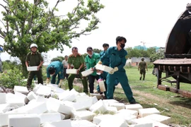 Thu gom hàng trăm viên trắng lạ đổ trái phép