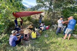 Lâm Đồng: Bắt quả tang nhiều “con bạc” sát phạt giữa rừng