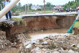 Khánh Hòa thiệt hại nặng do mưa lớn kéo dài, hàng trăm hecta hoa màu ngập úng