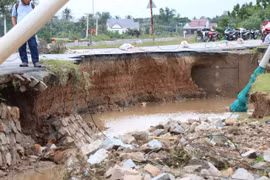 Khánh Hòa thiệt hại nặng do mưa lớn kéo dài, hàng trăm hecta hoa màu ngập úng