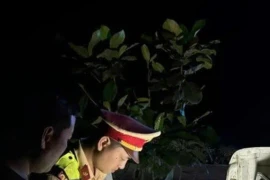 CSGT Đà Nẵng xử lý xe khách 43 chỗ nhồi nhét 60 người dịp Tết