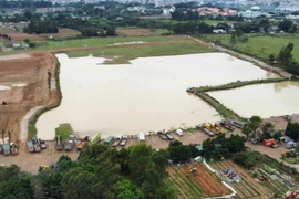 Sổ đỏ đất nông nghiệp hết hạn: Có cần gia hạn?