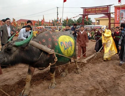 Cận cảnh “Vua” cày ruộng khai xuân ở lễ hội Tịch điền