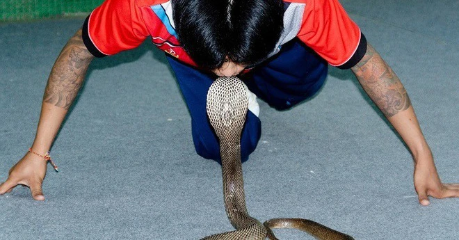 9 điều luật quái lạ về động vật ở Mỹ gây choáng nhất