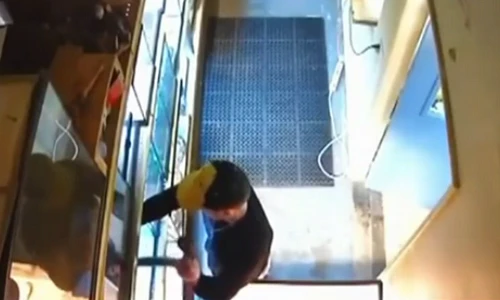 Hãi hùng trộm nhét con trăn quý vào trong quần