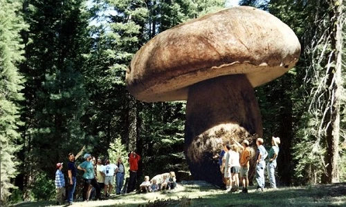 Những sự thật về Trái đất khiến ai cũng “há hốc miệng” 